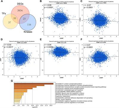 High Expression of CEMIP Correlates Poor Prognosis and the Tumur Microenvironment in Breast Cancer as a Promisingly Prognostic Biomarker